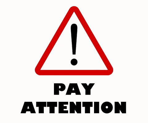 The Most Powerful Skill for College: Paying Attention to Detail – Tips 4  Academic Success